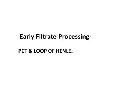 Early Filtrate Processing-