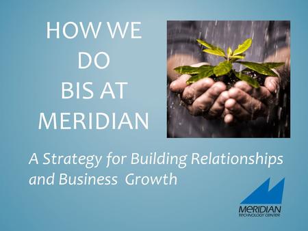 HOW WE DO BIS AT MERIDIAN A Strategy for Building Relationships and Business Growth.