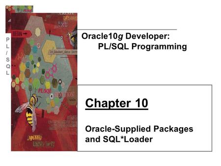 PL/SQLPL/SQL Oracle10g Developer: PL/SQL Programming Chapter 10 Oracle-Supplied Packages and SQL*Loader.