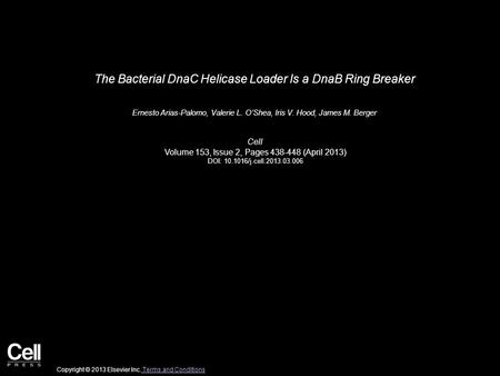 The Bacterial DnaC Helicase Loader Is a DnaB Ring Breaker Ernesto Arias-Palomo, Valerie L. O’Shea, Iris V. Hood, James M. Berger Cell Volume 153, Issue.
