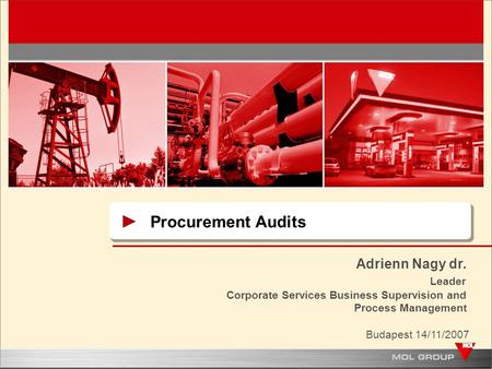 Adrienn Nagy dr. Leader Corporate Services Business Supervision and Process Management Budapest 14/11/2007 Procurement Audits.