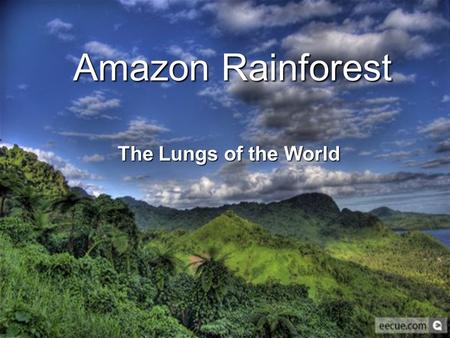 Amazon Rainforest The Lungs of the World.