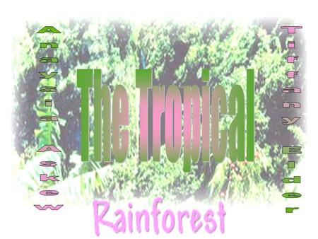 The Tropical Rainforest By Tiffany Elder and Anaysia Askew.