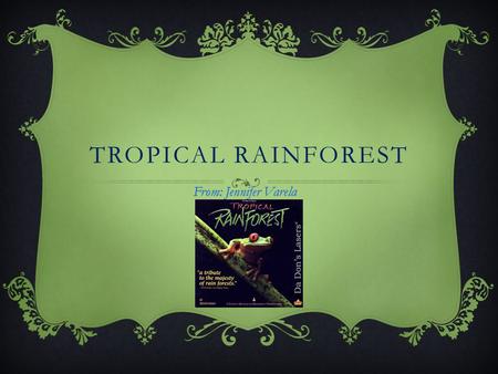 TROPICAL RAINFOREST From: Jennifer Varela DESCRIPTIONS -It has a lot of rain. -Never snows. -Stays hot year round. -Very wet soil covered with lush,