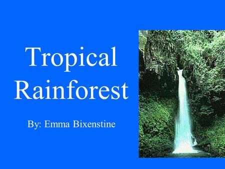 Tropical Rainforest By: Emma Bixenstine.