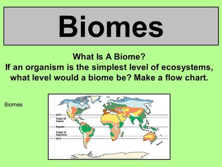Biomes What Is A Biome? If an organism is the simplest level of ecosystems, what level would a biome be? Make a flow chart. Biomes 1.