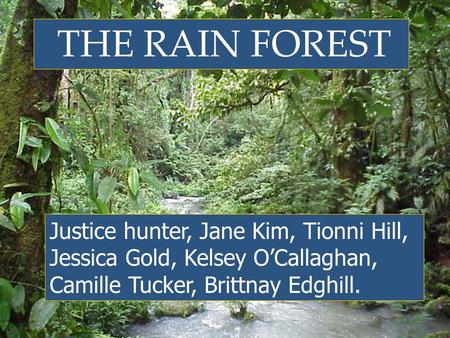 THE RAIN FOREST Justice hunter, Jane Kim, Tionni Hill, Jessica Gold, Kelsey O’Callaghan, Camille Tucker, Brittnay Edghill.