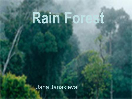 Rain Forest Jana Janakieva. DISAPPERING We are losing 137 plant and animal species every single day 78 million acres lost every year Massive deforestation.