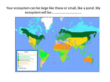 Your ecosystem can be large like these or small, like a pond. My ecosystem will be:……………………………..