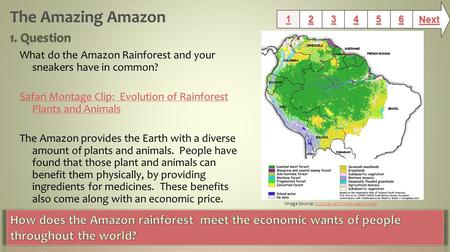 What do the Amazon Rainforest and your sneakers have in common? Safari Montage Clip: Evolution of Rainforest Plants and Animals The Amazon provides the.