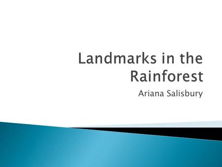 Landmarks in the Rainforest