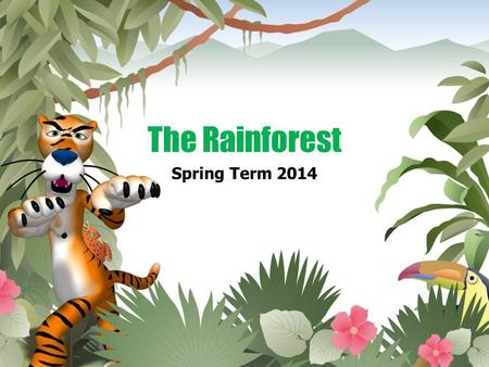 The Rainforest Spring Term 2014. The Rainforest Topic Web Yellow Class Spring Term 2014 Gathering and presenting information about a particular aspect.