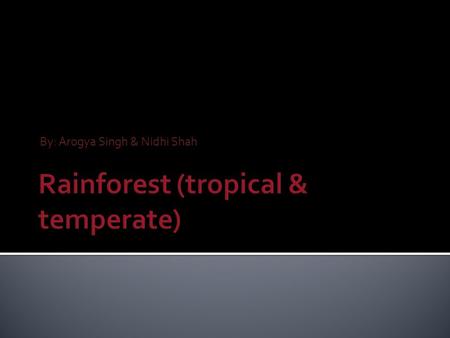 By: Arogya Singh & Nidhi Shah. The tropical & temperate rain forest can be found in three major geographical areas around the world.  Central America.