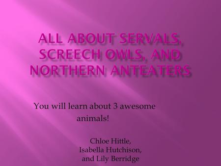 You will learn about 3 awesome animals! Chloe Hittle, Isabella Hutchison, and Lily Berridge.