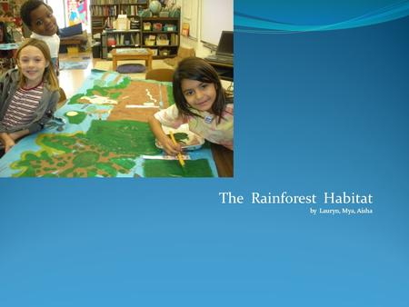 The Rainforest Habitat by Lauryn, Mya, Aisha. Rainforest Art Mural.