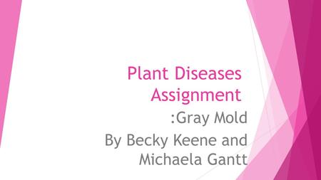 Plant Diseases Assignment :Gray Mold By Becky Keene and Michaela Gantt.