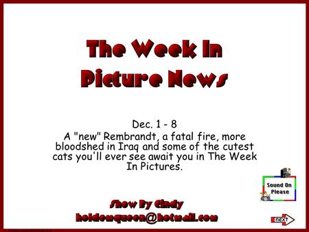 Dec. 1 - 8 A new Rembrandt, a fatal fire, more bloodshed in Iraq and some of the cutest cats you'll ever see await you in The Week In Pictures.