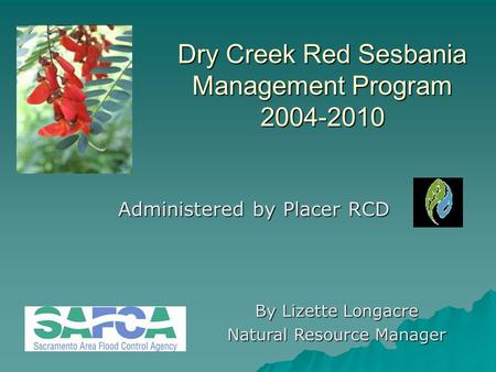Dry Creek Red Sesbania Management Program