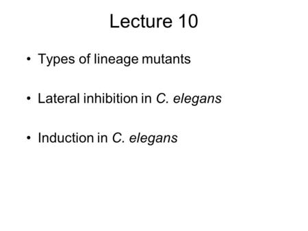 Lecture 10 Types of lineage mutants Lateral inhibition in C. elegans Induction in C. elegans.