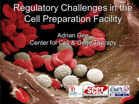 Regulatory Challenges in the Cell Preparation Facility Adrian Gee Center for Cell & Gene Therapy Regulatory Challenges in the Cell Preparation Facility.