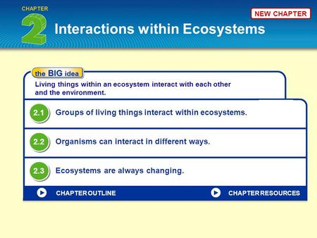 Interactions within Ecosystems
