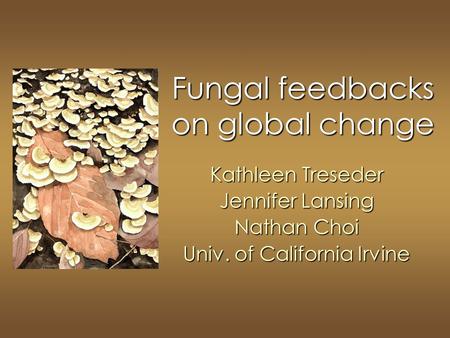Fungal feedbacks on global change Kathleen Treseder Jennifer Lansing Nathan Choi Univ. of California Irvine.