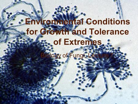 BIOL 4848/6948 (v. S07) Copyright © 2007 Chester R. Cooper, Jr. Environmental Conditions for Growth and Tolerance of Extremes Biology of Fungi, Lecture.