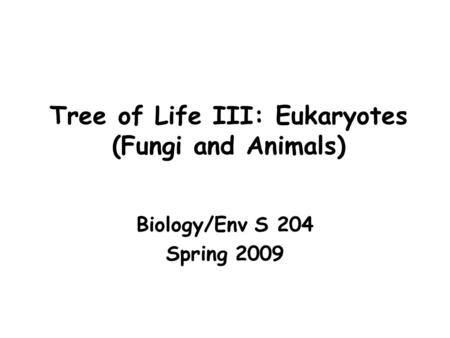 Tree of Life III: Eukaryotes (Fungi and Animals) Biology/Env S 204 Spring 2009.