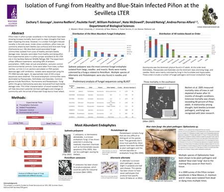 Isolation of Fungi from Healthy and Blue-Stain Infected Piñon at the Sevilleta LTER Zachary T. Gossage 1, Joanna Redfern 2, Paulette Ford 3, William Pockman.