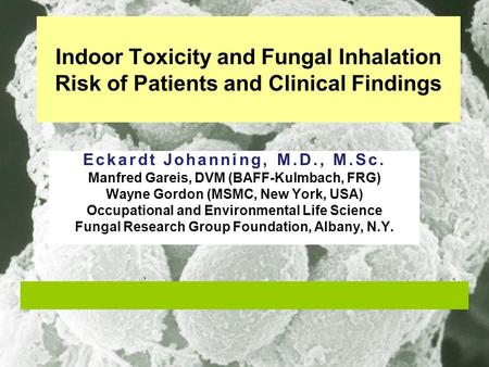 Indoor Toxicity and Fungal Inhalation Risk of Patients and Clinical Findings Eckardt Johanning, M.D., M.Sc. Manfred Gareis, DVM (BAFF-Kulmbach, FRG) Wayne.