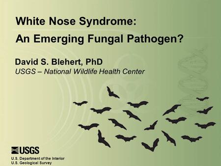 David S. Blehert, PhD USGS – National Wildlife Health Center U.S. Department of the Interior U.S. Geological Survey White Nose Syndrome: An Emerging Fungal.