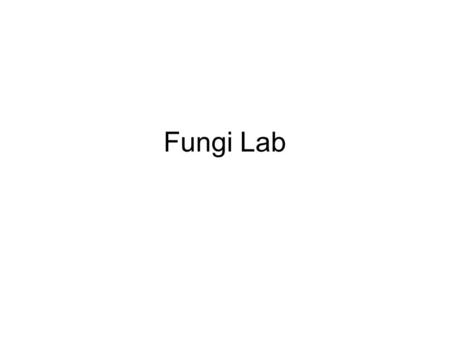 Fungi Lab. Tentative Phylogeny Fig 28.8 Generalized fungal lifecycle Spore-producing structures Spores ASEXUAL REPRODUCTION GERMINATION Zygote Mycelium.