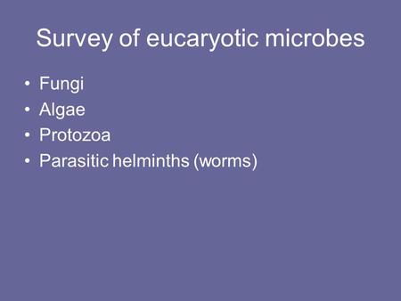 Survey of eucaryotic microbes