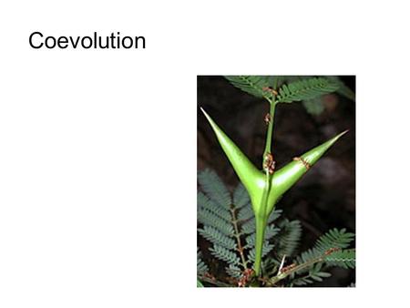 Coevolution. Coevolution involves the joint evolution of two or more species as a consequence of their ecological interaction.