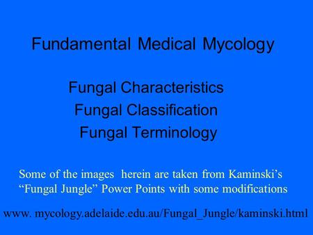 Fundamental Medical Mycology Fungal Characteristics Fungal Classification Fungal Terminology www. mycology.adelaide.edu.au/Fungal_Jungle/kaminski.html.