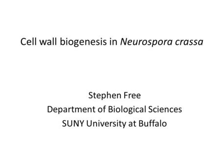 Cell wall biogenesis in Neurospora crassa Stephen Free Department of Biological Sciences SUNY University at Buffalo.