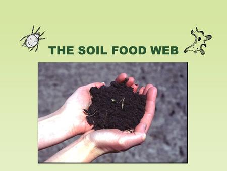 THE SOIL FOOD WEB. Soil Biology and the Landscape.