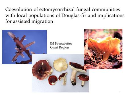 Coevolution of ectomycorrhizal fungal communities with local populations of Douglas-fir and implications for assisted migration JM Kranabetter Coast Region.