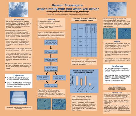Unseen Passengers: What’s really with you when you drive? Brittany Schlorff, Department of Biology, York College Introduction ▪ Car air filters, usually.