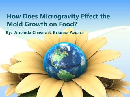 How Does Microgravity Effect the Mold Growth on Food?
