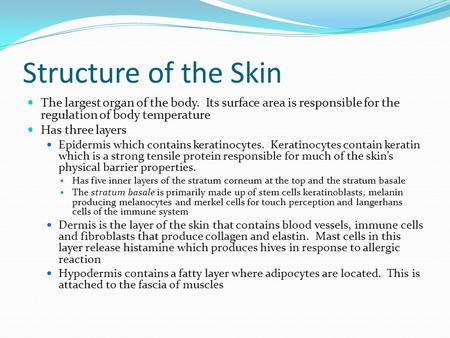 Structure of the Skin The largest organ of the body. Its surface area is responsible for the regulation of body temperature Has three layers Epidermis.