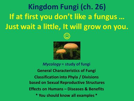 Kingdom Fungi (ch. 26) If at first you don’t like a fungus … Just wait a little, It will grow on you.  Mycology = study of fungi General Characteristics.