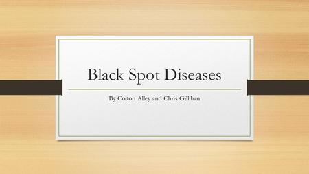 Black Spot Diseases By Colton Alley and Chris Gillihan.