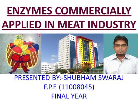 ENZYMES COMMERCIALLY APPLIED IN MEAT INDUSTRY PRESENTED BY:-SHUBHAM SWARAJ F.P.E (11008045) FINAL YEAR.