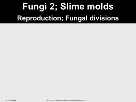 Dr. Clem Kuek ZIP\Lectures\Basic\Lectures\Fungi\Fungi2\Fungi2.ppt 1 Fungi 2; Slime molds Reproduction; Fungal divisions.