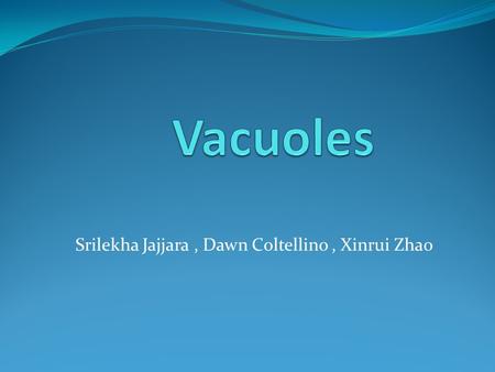 Srilekha Jajjara, Dawn Coltellino, Xinrui Zhao. Found in all fungal and plant cells in some animal cells. Maintaining a balance between biogenesis (production)