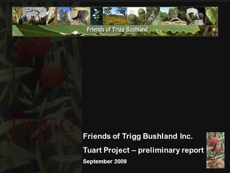 Friends of Trigg Bushland Inc. Tuart Project – preliminary report September 2009.