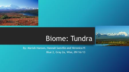 Biome: Tundra By: Mariah Hanson, Hannah Sanville and Veronica Yi Blue 2, Gray 2a, Wise, 09/16/13.