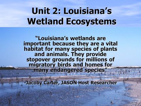 Unit 2: Louisiana’s Wetland Ecosystems “Louisiana’s wetlands are important because they are a vital habitat for many species of plants and animals. They.