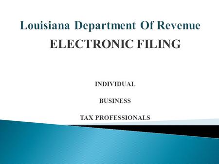 ELECTRONIC FILING INDIVIDUAL BUSINESS TAX PROFESSIONALS.